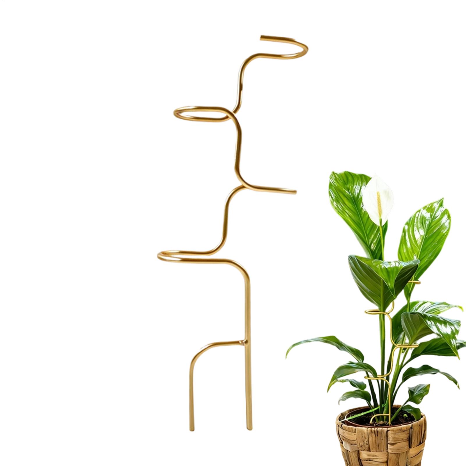 Plant Support Stake - 庭の植物の茎固定用サポートフレーム 金属製バラ茎サポートステーク 家庭菜園家向け 蘭、牡丹、アマリリス用