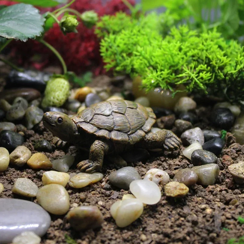 樹脂シミュレーション小さなカメクラフトマイクロ風景ガーデニン - Succulent Set のレビューと価格