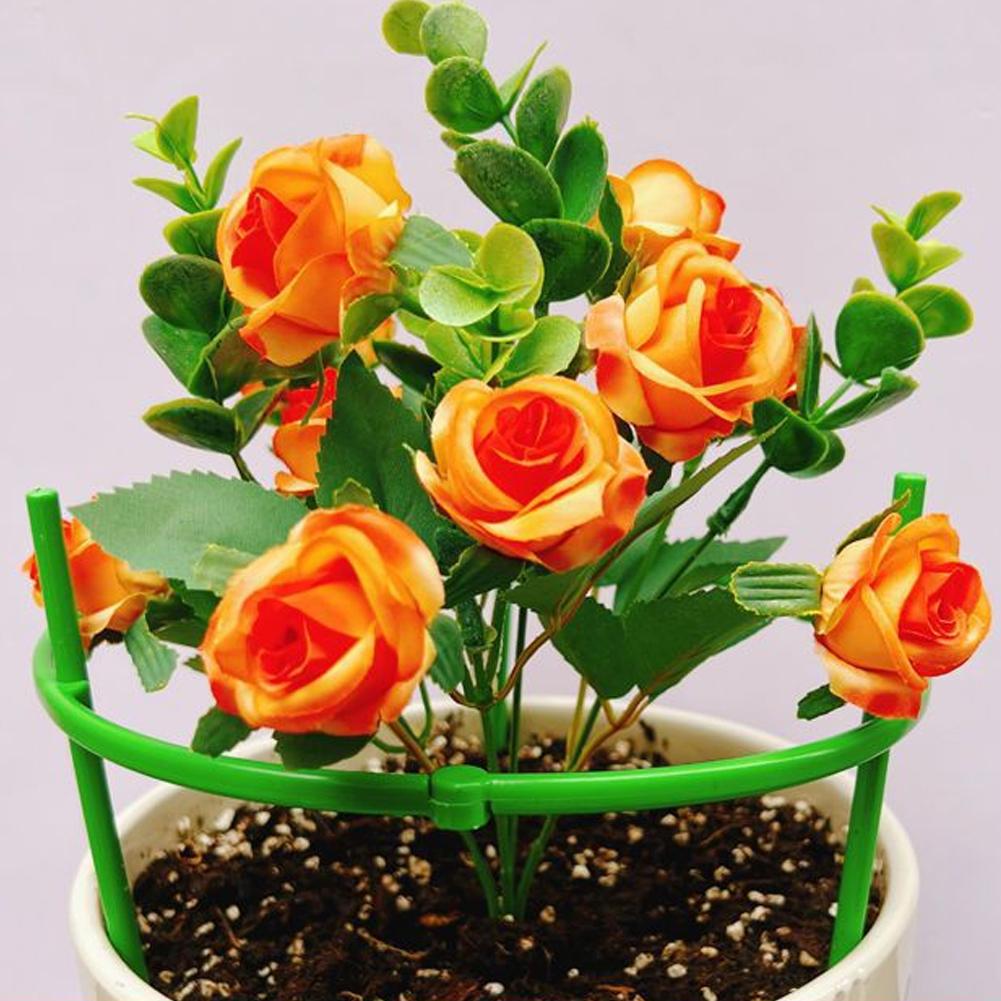 トマトケージ、トレリス、プラスチック製支柱、つる性植物用ブラ - Terracotta Pot のレビューと価格