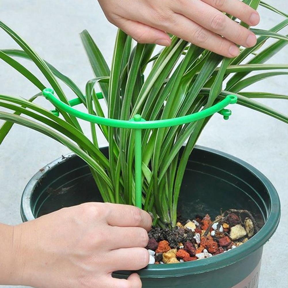 トマトケージ、トレリス、プラスチック製支柱、つる性植物用ブラ - Terracotta Pot のレビューと価格