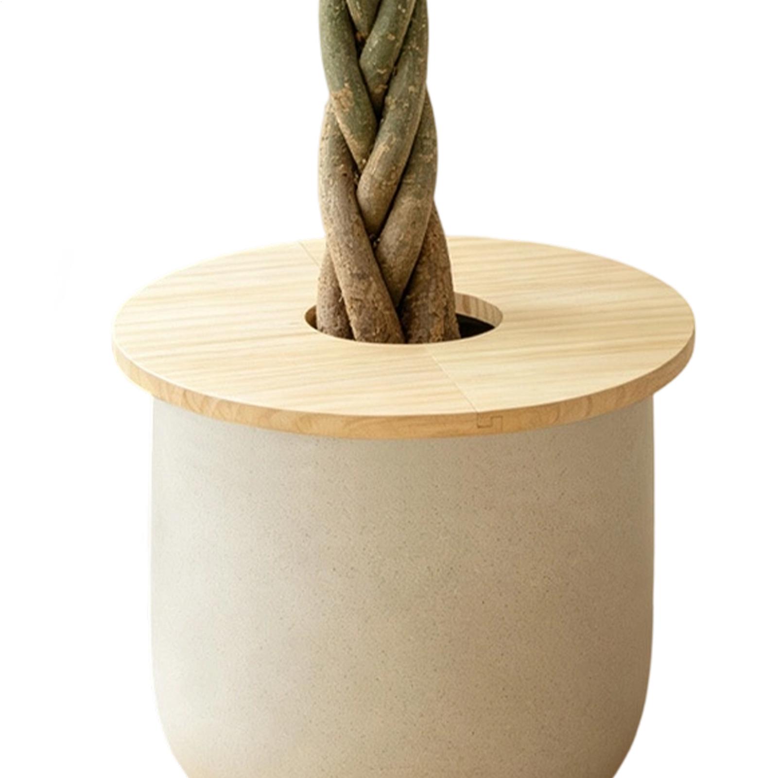 植木鉢カバー 木製分割プランターグリッドプロテクター 植木鉢 - Terracotta Pot のレビューと価格
