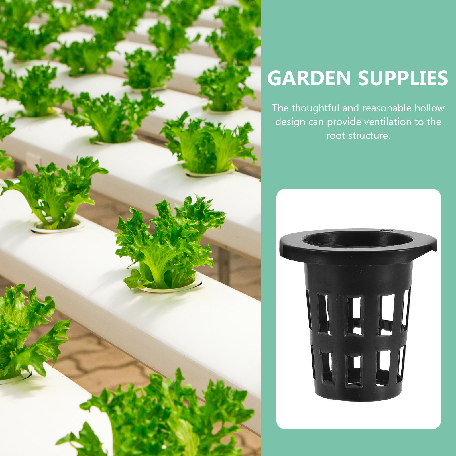 50個入り プラスチック製 植え込み用バスケット、水耕栽培用 - Plant Pot のレビューと価格