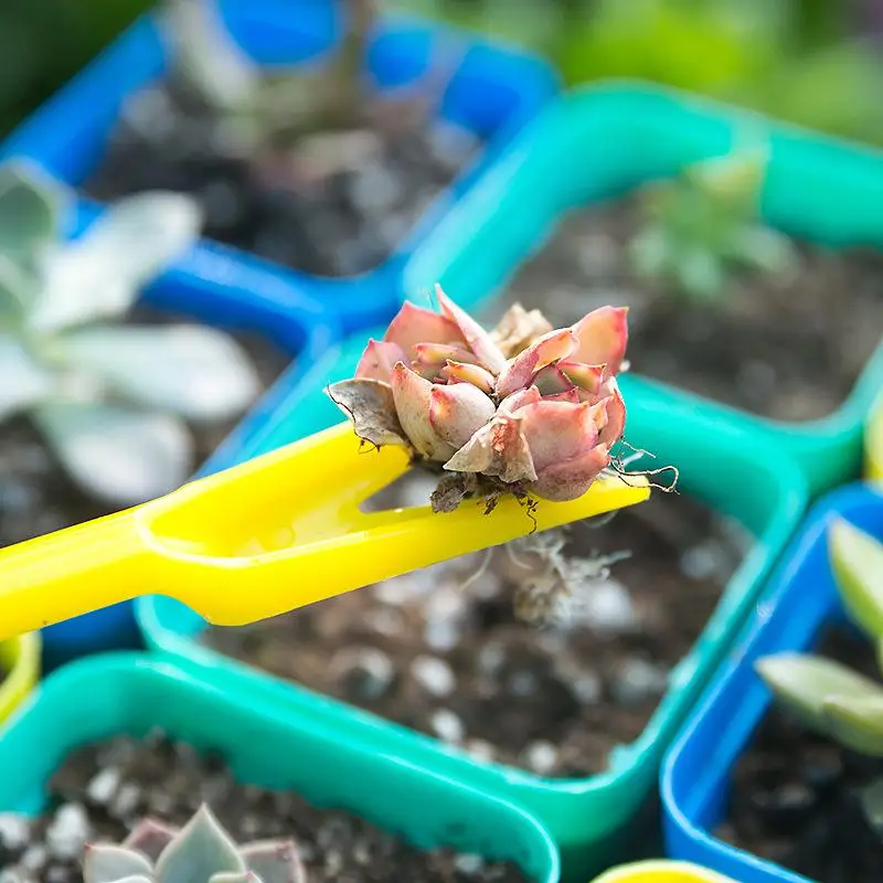 1/10 個播種多肉植物移植苗植栽ツール盆栽肥料掘削装置ガー - Succulent Set のレビューと価格