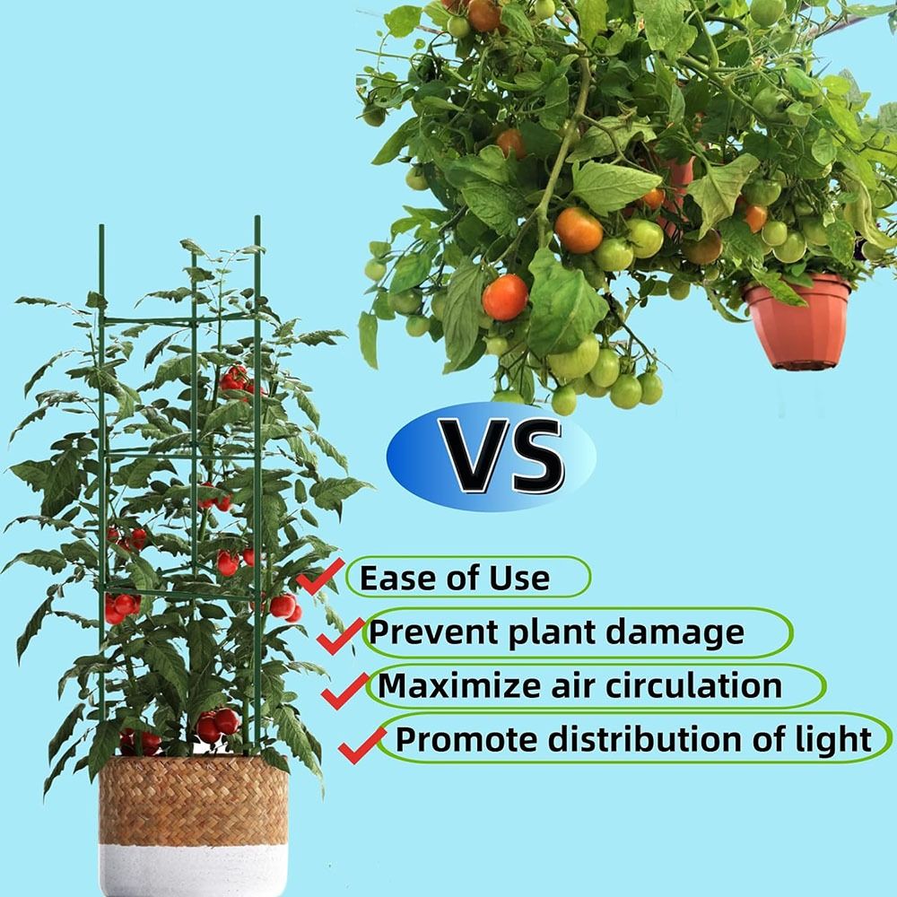 ケージ用イナルトアーム、拡張可能な植物サポート、トレリスコネ - Plant Support Stake のレビューと価格