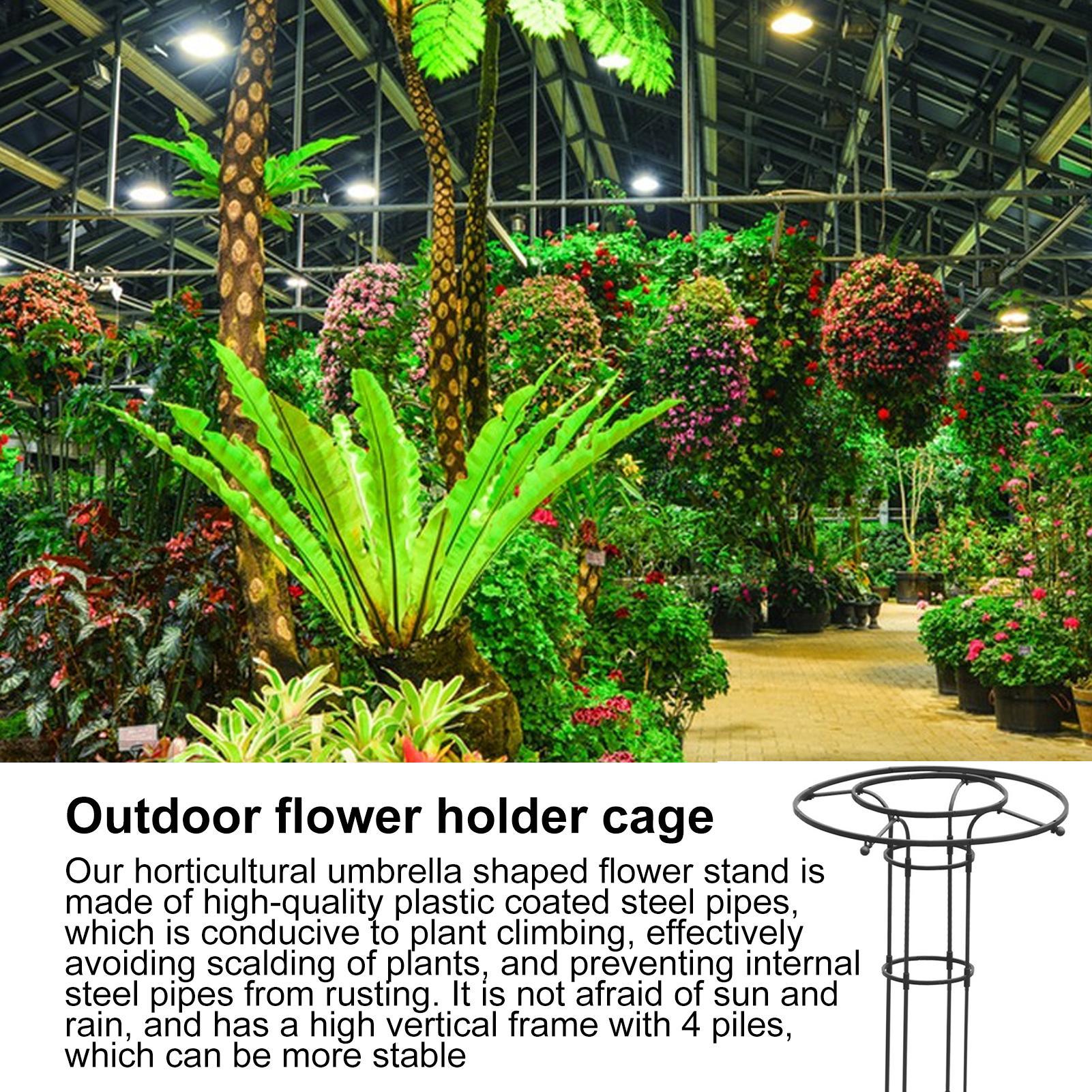 ガーデン用トレリス傘型タワー、つる性植物用トレリス、DIYト - Terracotta Pot のレビューと価格