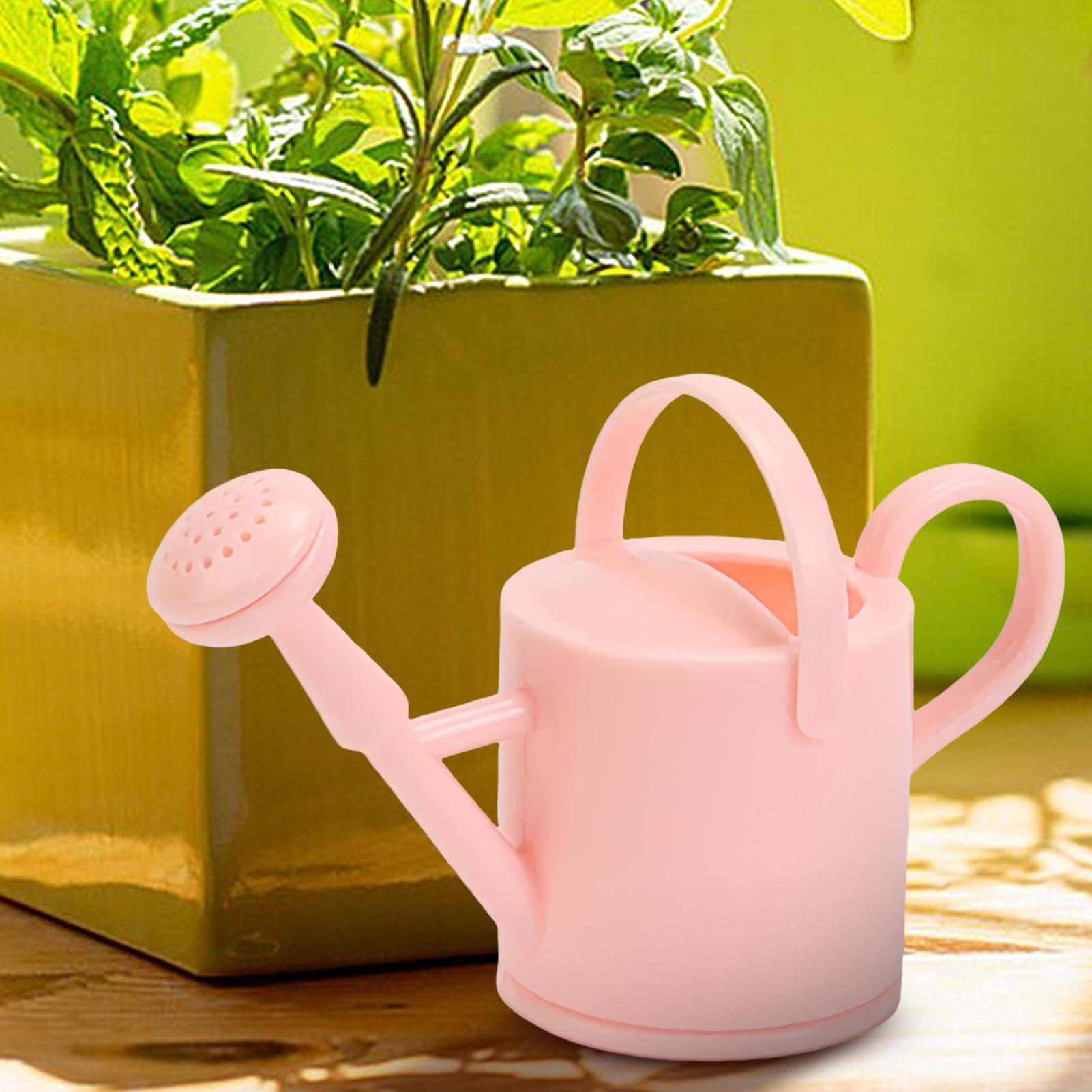 小さな子供用じょうろ、柔軟な花の水やり用ケトルポット、子供用 - Succulent Set のレビューと価格