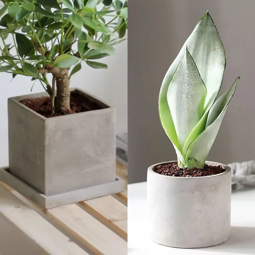 15cm大型丸型コンクリート植木鉢シリコンモールド、正方形セ - Succulent Set のレビューと価格