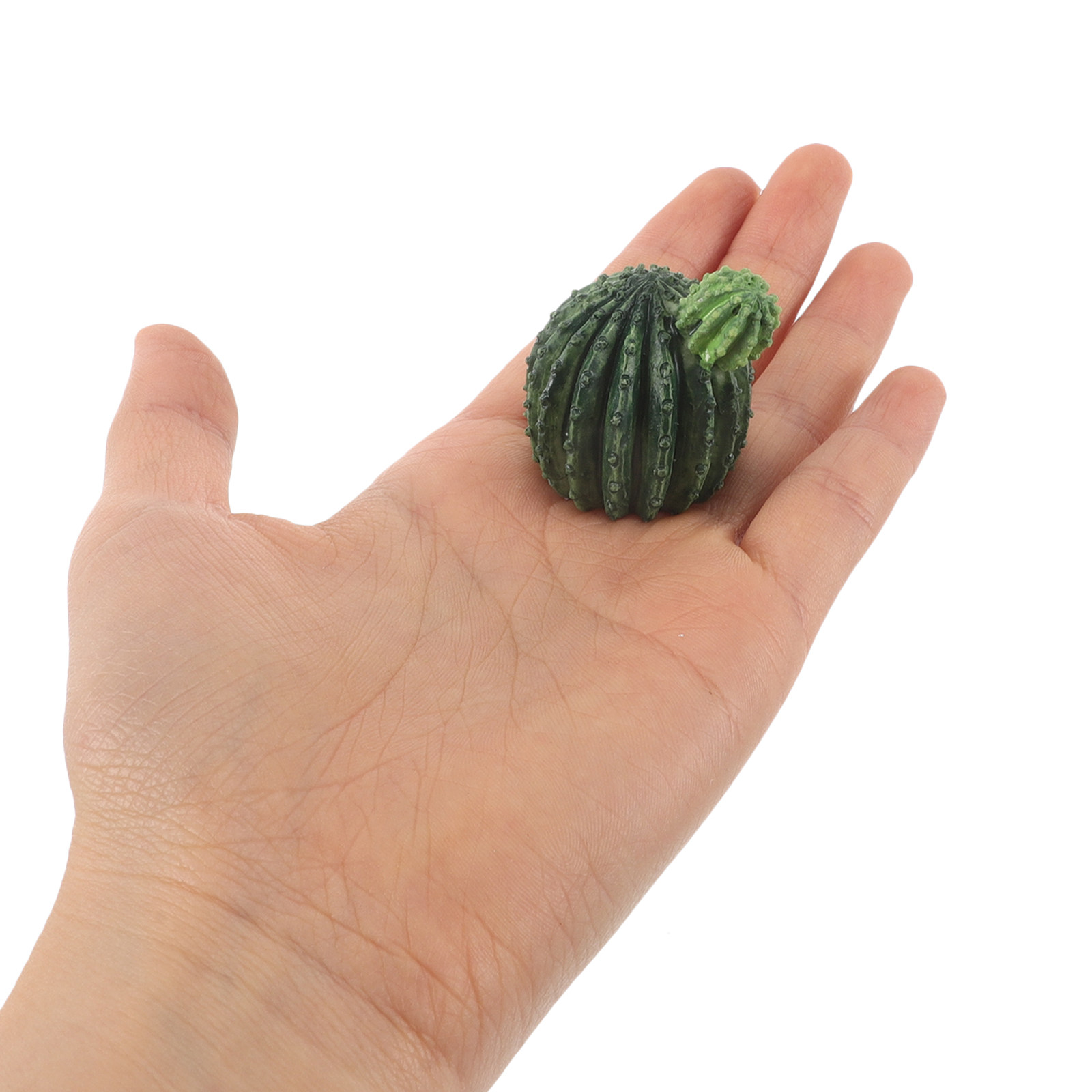 ミニチュアの樹脂製サボテンと多肉植物のセット – 3個入り。 - Succulent Set のレビューと価格