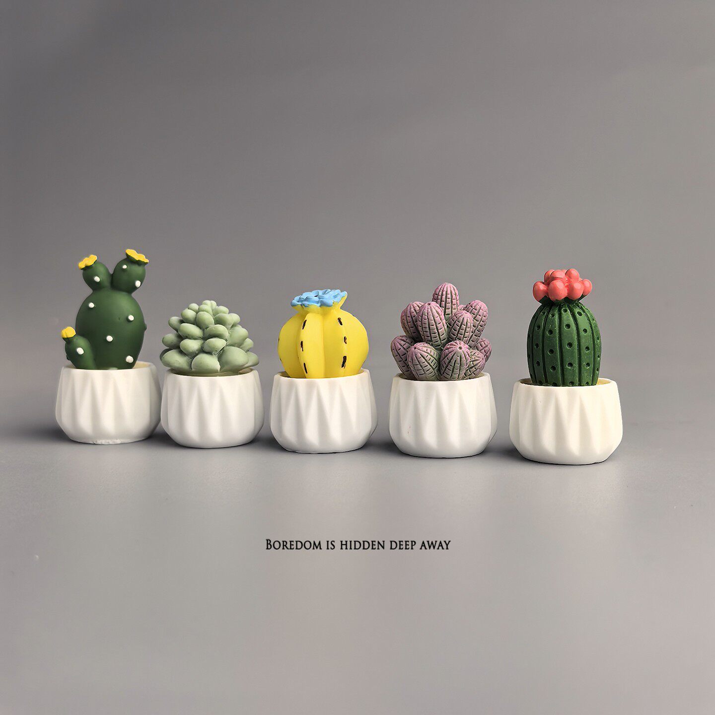 鉢植えサボテン多肉植物ミニワークステーションオフィスデスク飾 - Succulent Set のレビューと価格