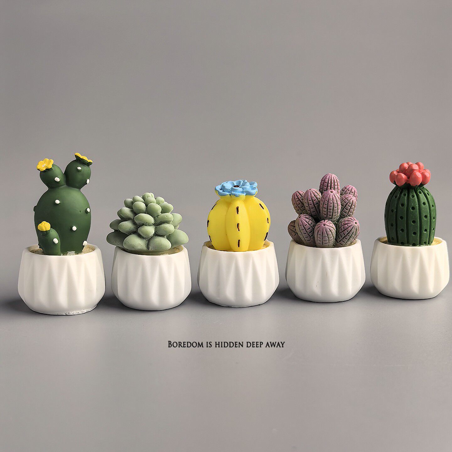 鉢植えサボテン多肉植物ミニワークステーションオフィスデスク飾 - Succulent Set のレビューと価格
