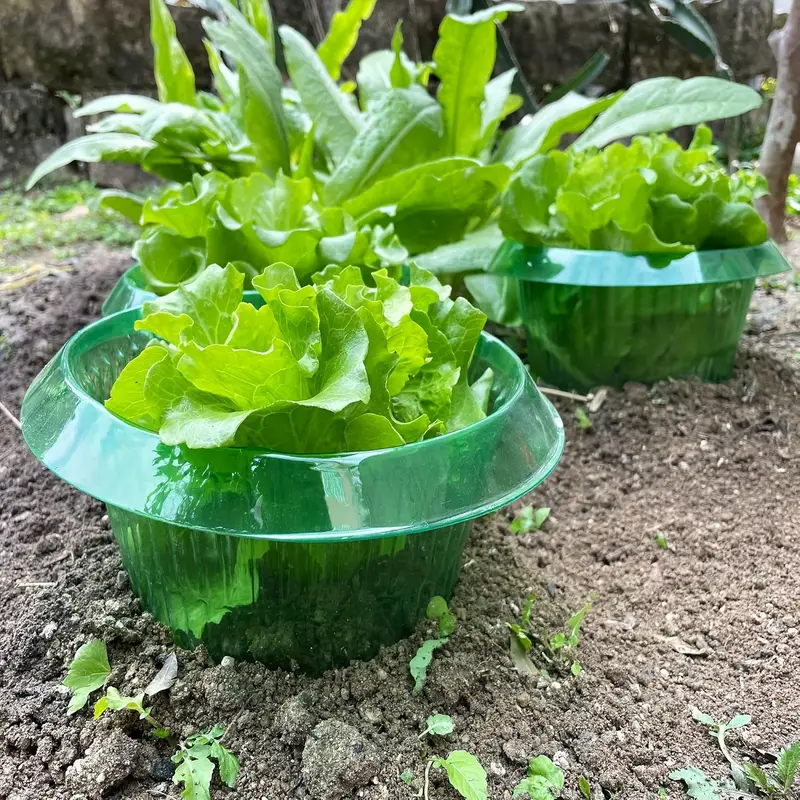 植物ナメクジ保護リング野菜カバー植物カタツムリ首輪ガードグリ - Terracotta Pot のレビューと価格