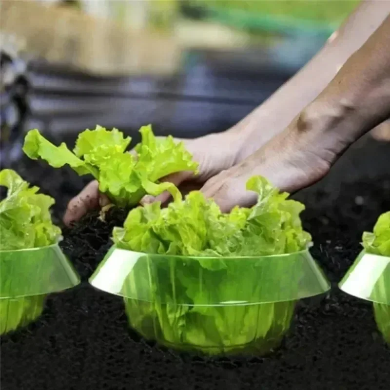 植物ナメクジ保護リング野菜カバー植物カタツムリ首輪ガードグリ - Terracotta Pot のレビューと価格