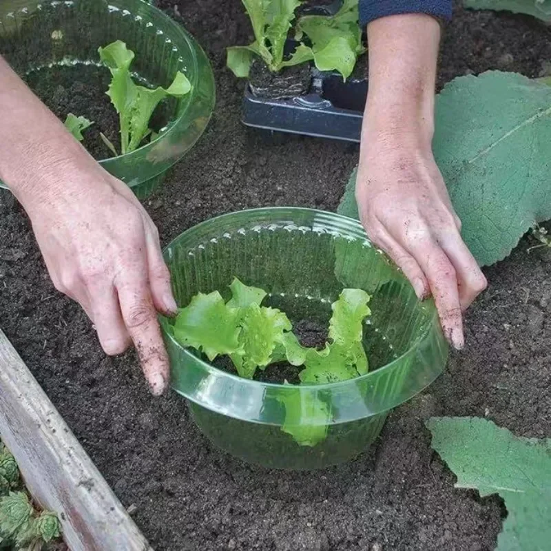 植物ナメクジ保護リング野菜カバー植物カタツムリ首輪ガードグリ - Terracotta Pot のレビューと価格