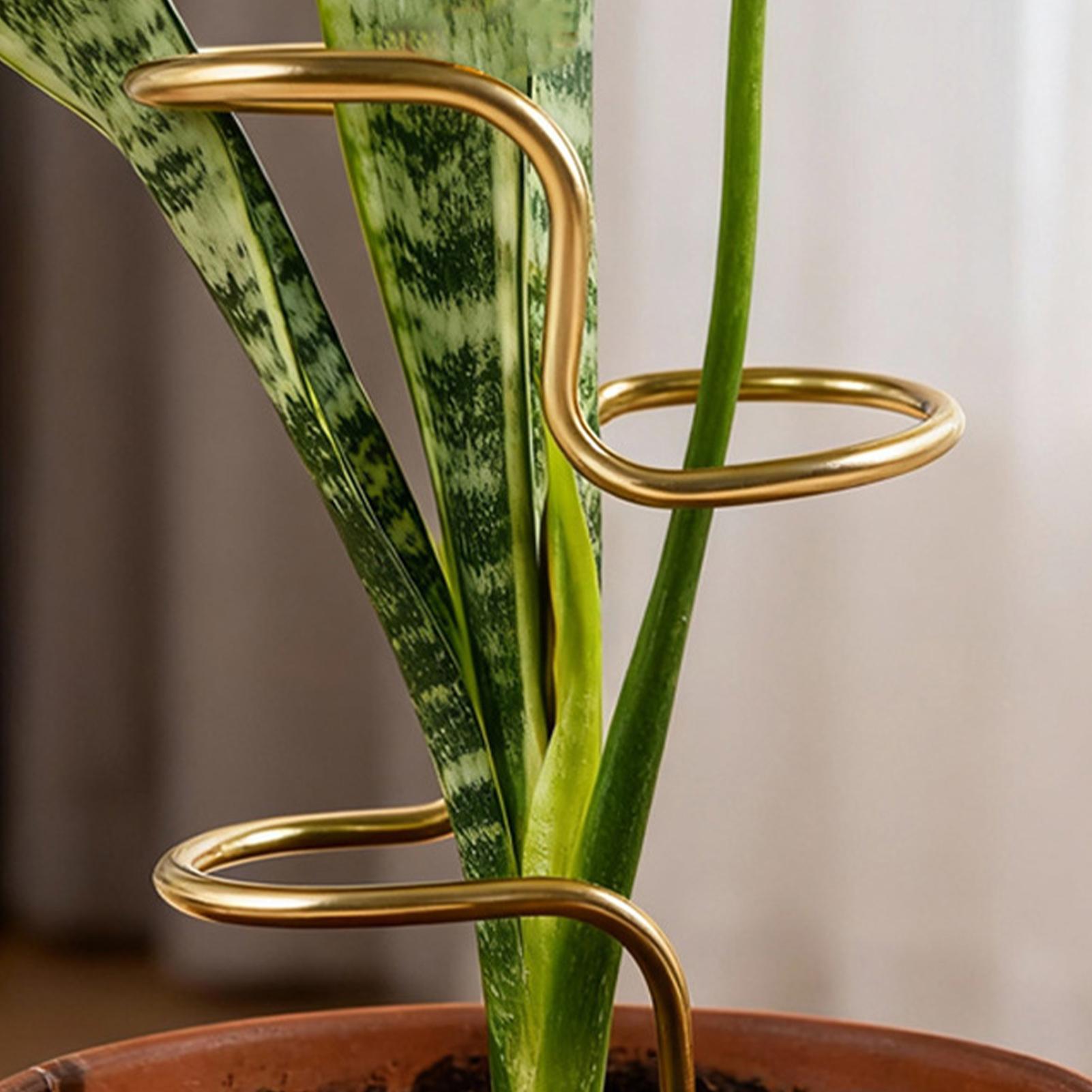 庭の植物の茎固定用サポートフレーム 金属製バラ茎サポートステ - Plant Support Stake のレビューと価格