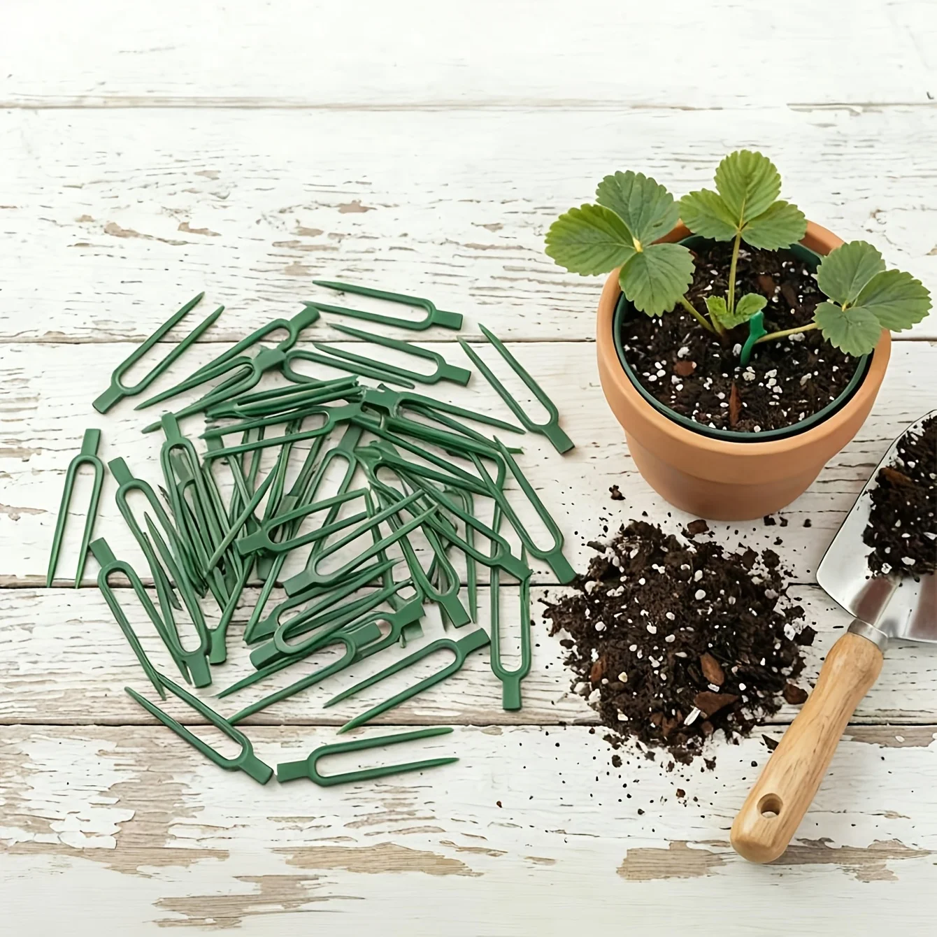 プラスチック製のつる植物用支柱フォーク50個入り - プラス - Plant Support Stake のレビューと価格
