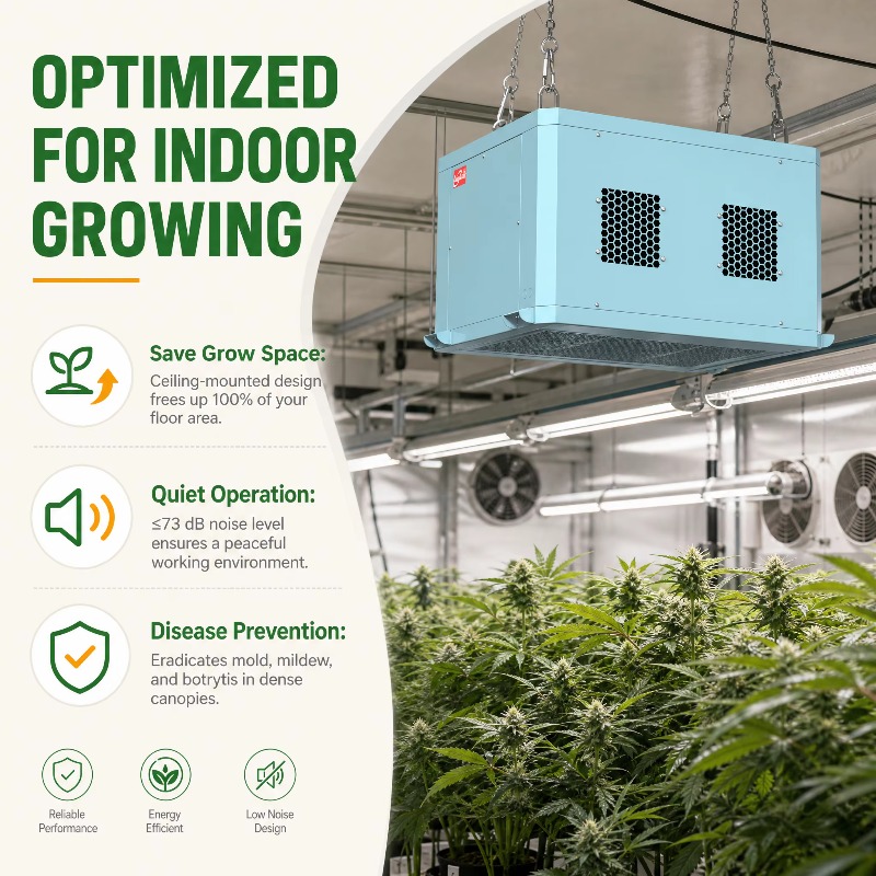 高性能な温室用除湿機。天井に取り付け可能で、商業施設の屋内栽 - Indoor Plants のレビューと価格